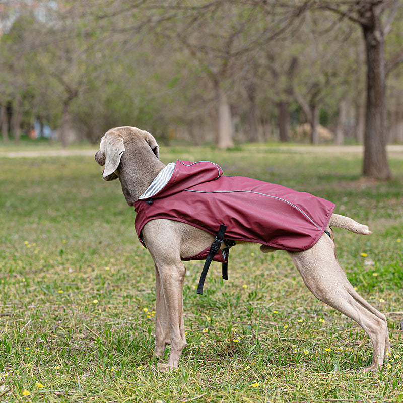 Pet raincoats, medium and large dog ponchos, dog clothes