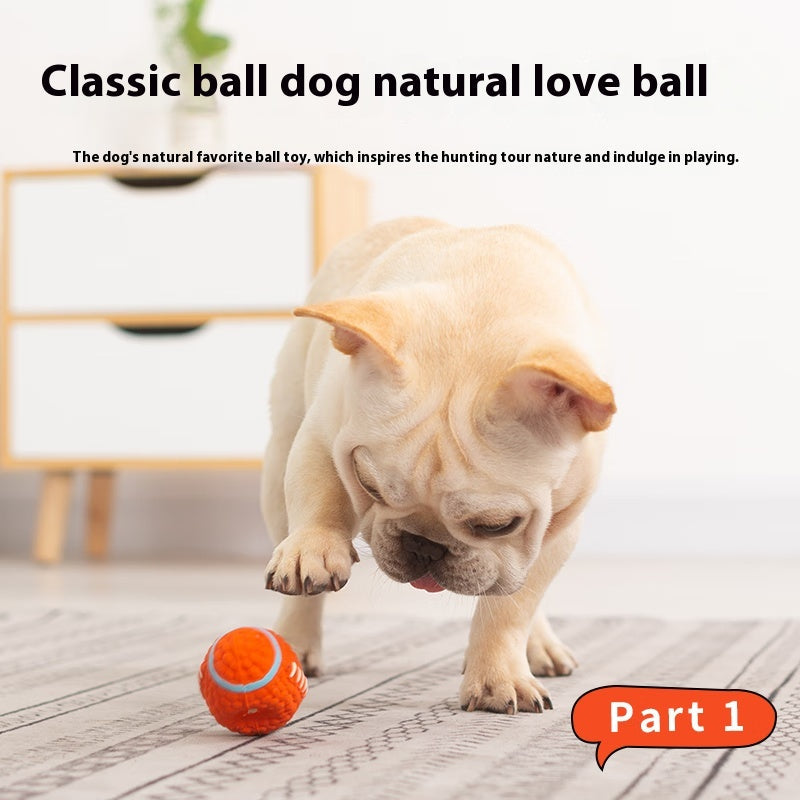 Dog Rugby Fun Sound Toy