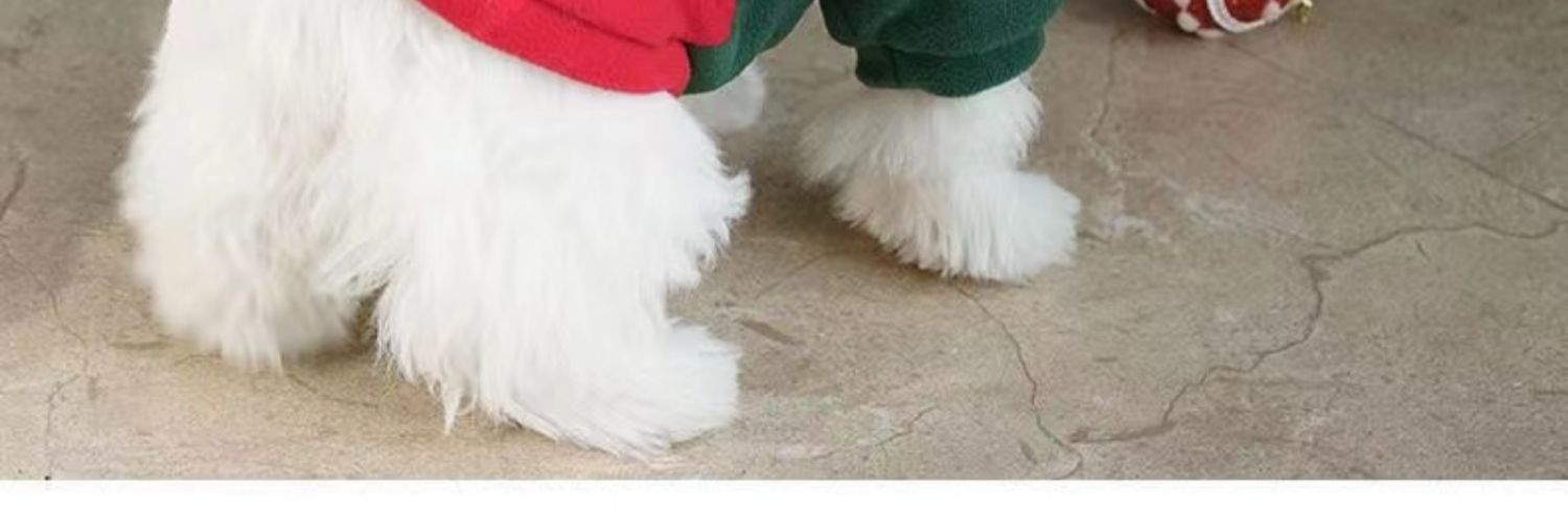 Dog pet cat clothing Christmas festive clothing Autumn and winter fashion Teddy fighting small and medium-sized dogs