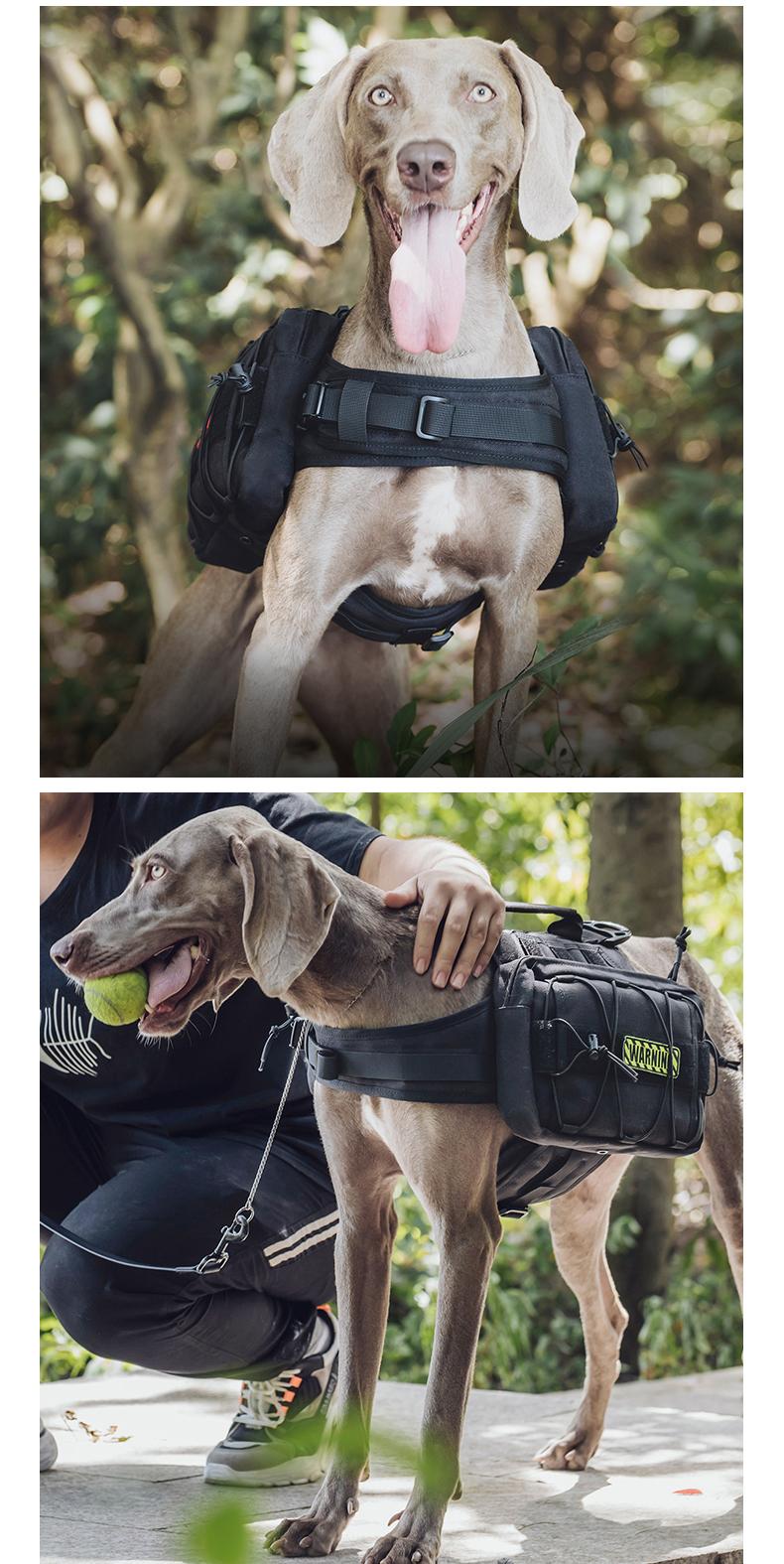 Tactical dog vest style dog walking harness  new