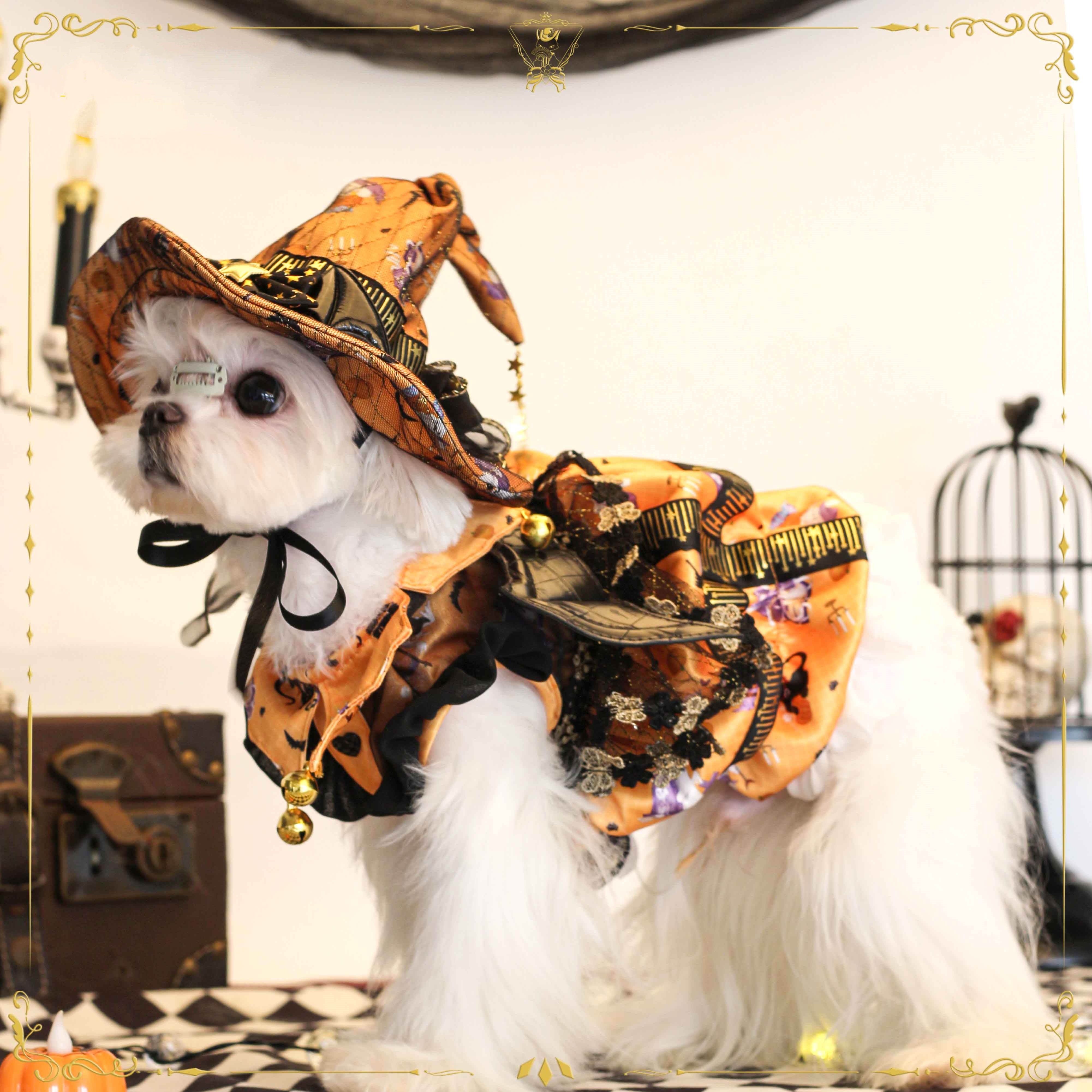 Pet dogs, cats, Halloween magic, Bichon Pomeranian, fashion brand Christmas pet clothes