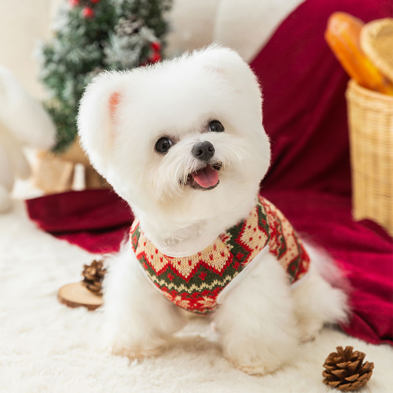 Pet puppy dog Clothing Autumn and Winter Bichon Bear Teddy Yorkshire Puppy Schnitzer Winter Winter Winter Christmas Wind vest