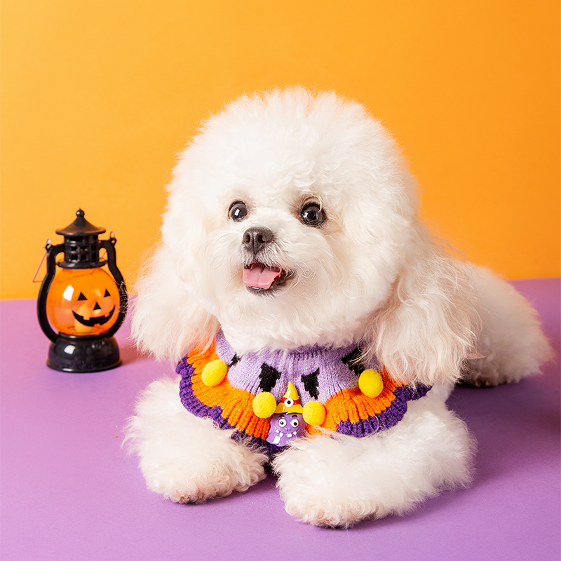 Halloween pet bib Dog cat collar decorated bib Knitted hat Halloween pumpkin dress up costume