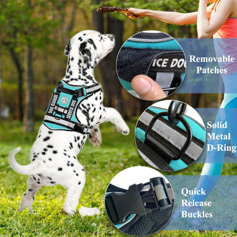 Dog outdoor training harness