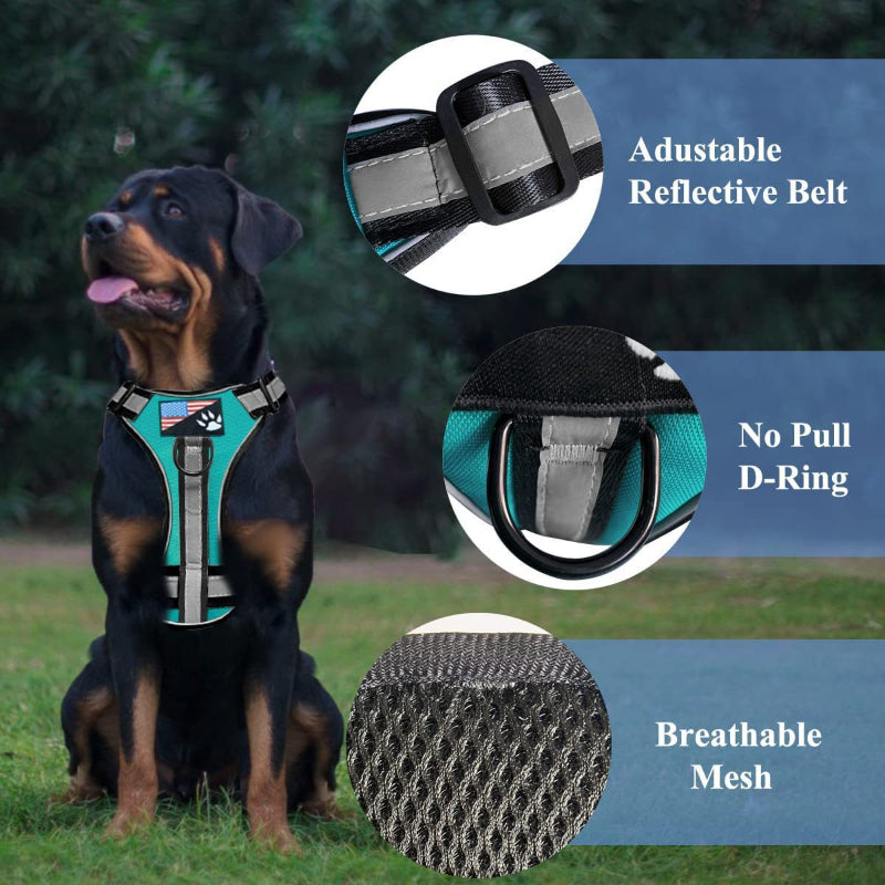 Dog outdoor training harness