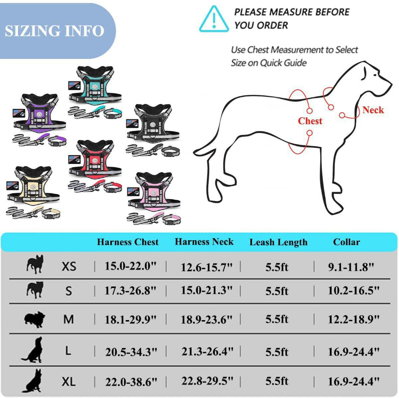 Dog outdoor training harness