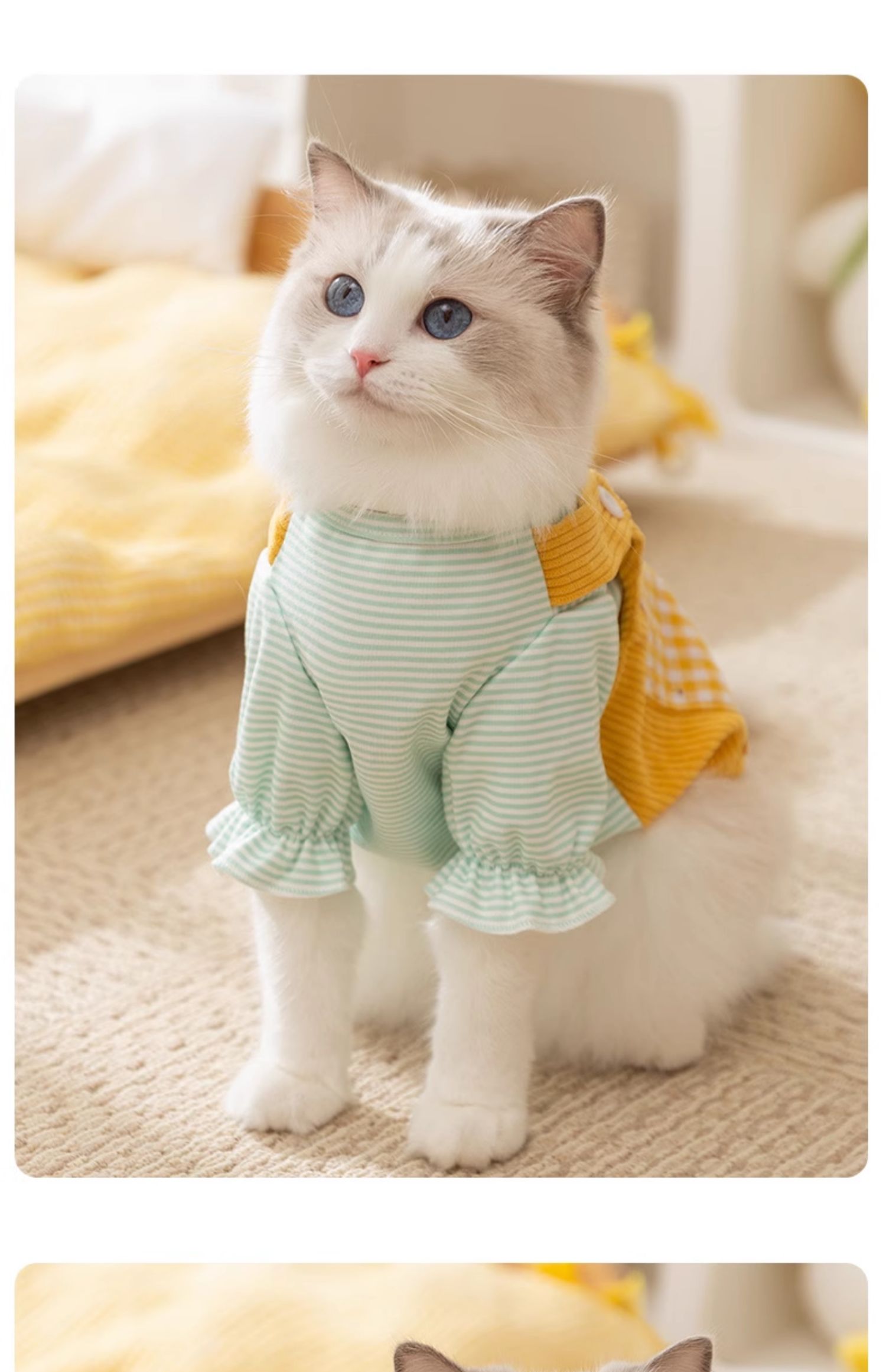 Cat clothes Spring Autumn thin fake two pocket hoodie anti-hair pet kitten Muppet gradient blue cat