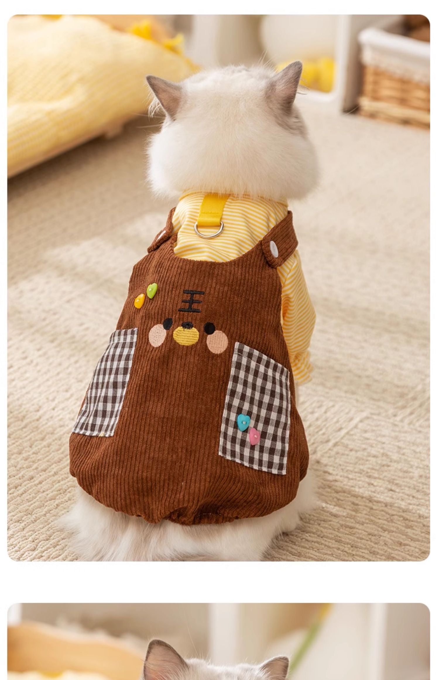 Cat clothes Spring Autumn thin fake two pocket hoodie anti-hair pet kitten Muppet gradient blue cat