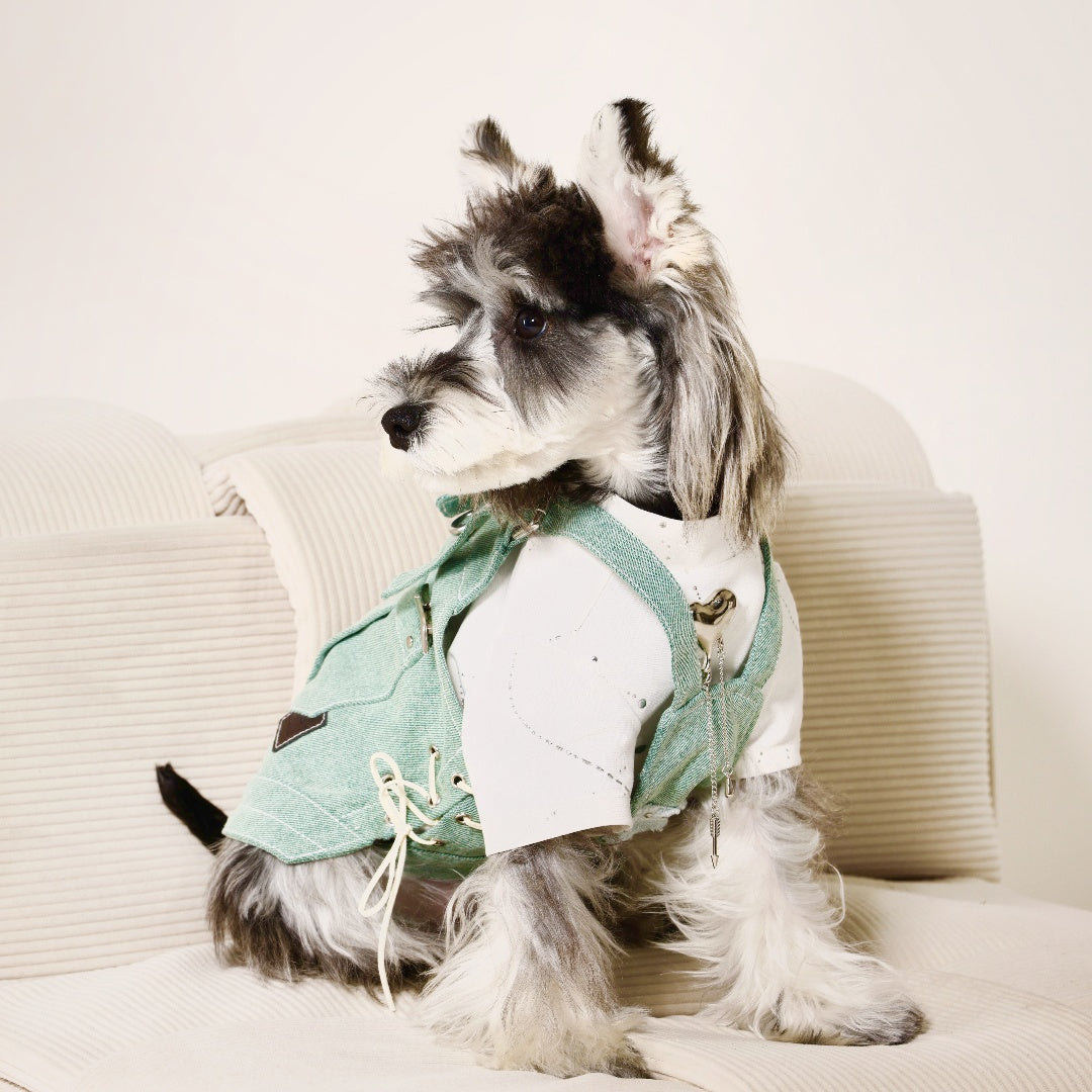 Pet leashing irregular lace-up denim carrier clothing