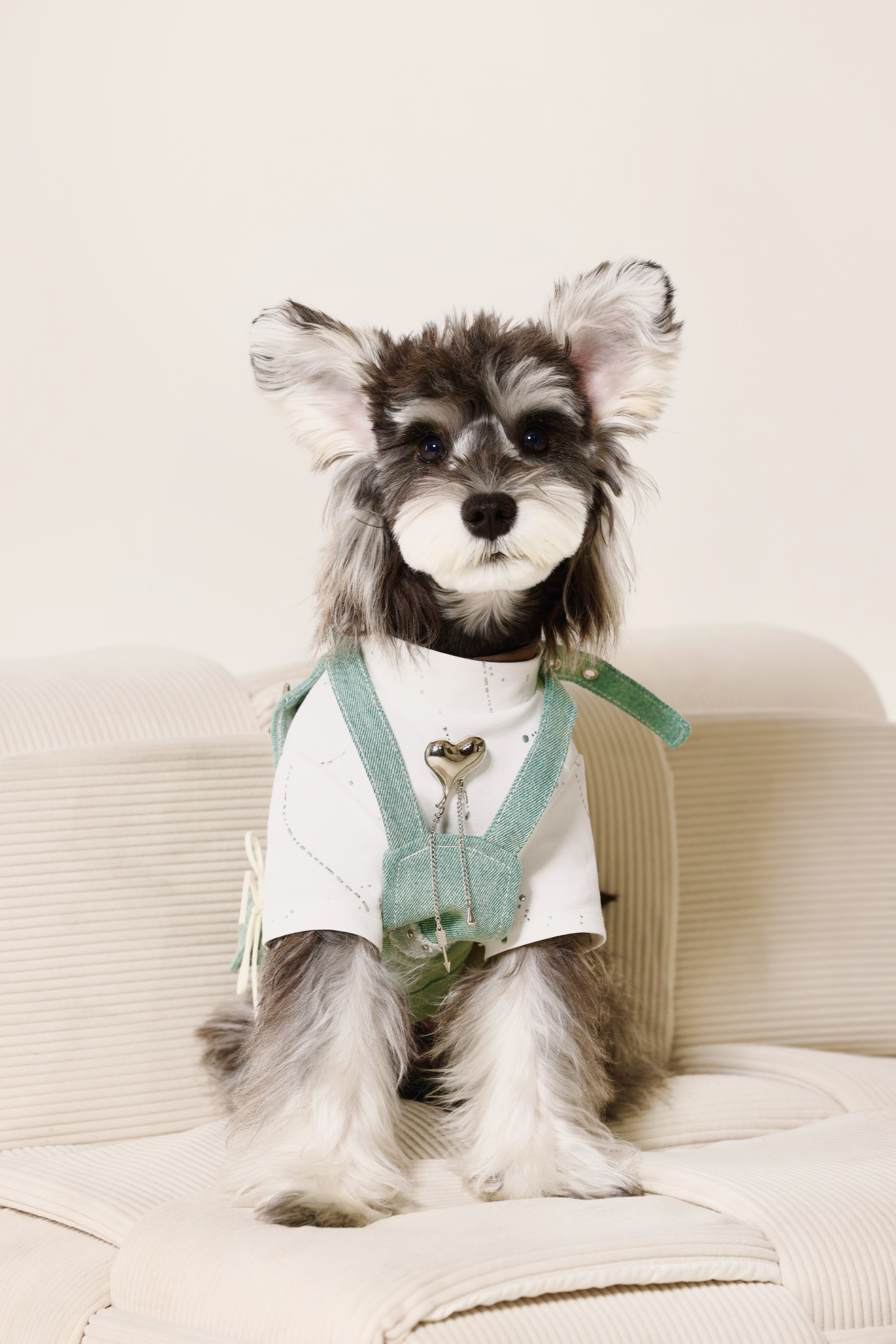 Pet leashing irregular lace-up denim carrier clothing