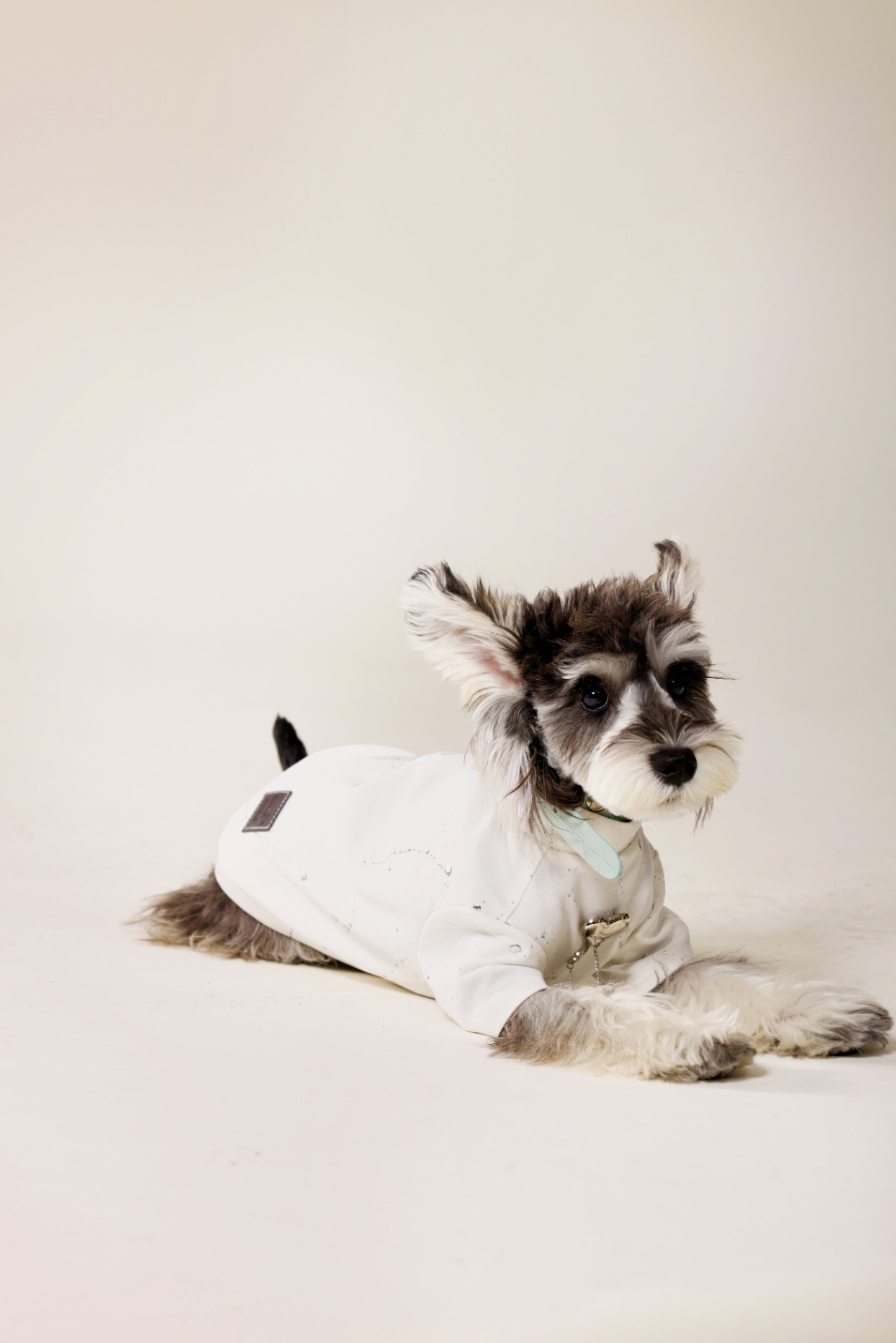 Trendy pet love metal tassel cotton patchwork T-shirt