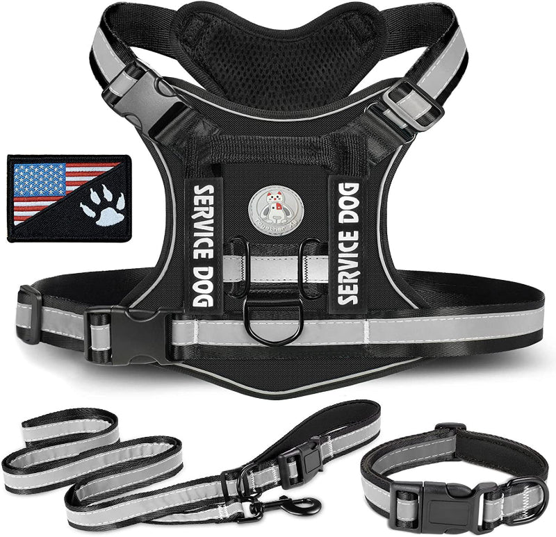 Dog outdoor training harness