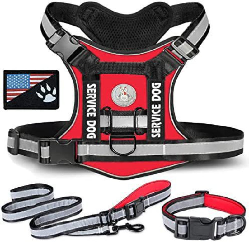 Dog outdoor training harness