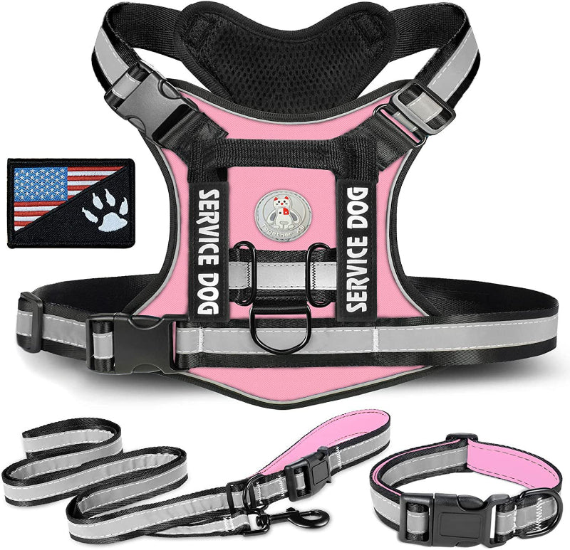 Dog outdoor training harness