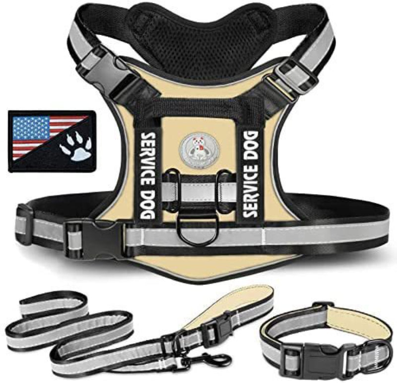 Dog outdoor training harness