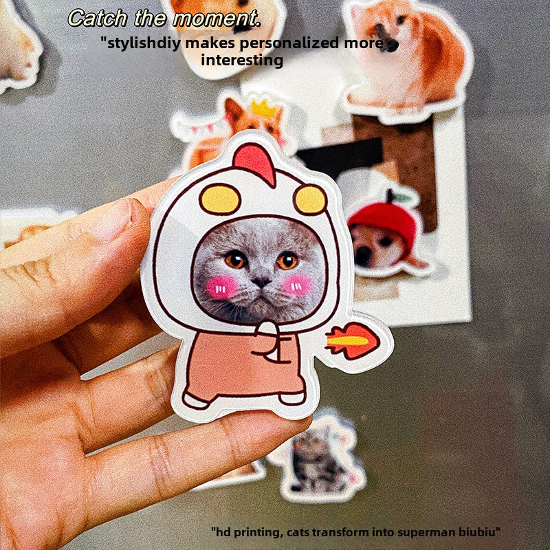 Pet portrait refrigerator magnet custom acrylic magnetic photo diy cute cat and dog magnet custom