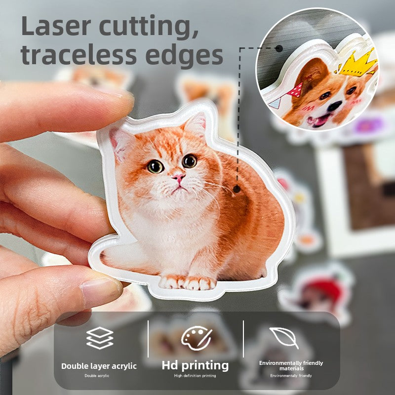 Pet portrait refrigerator magnet custom acrylic magnetic photo diy cute cat and dog magnet custom